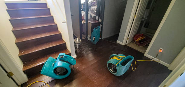 Best Mold removal after water damage  in Inwood, WV