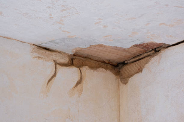 Best Basement water damage restoration  in Inwood, WV