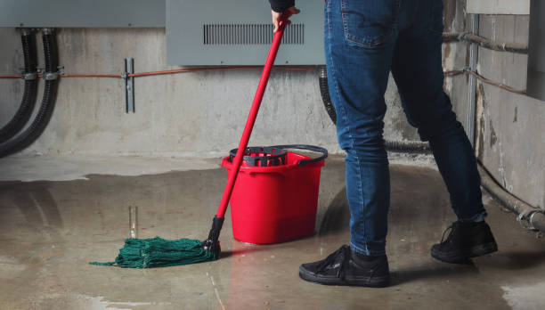 Best Professional water damage repair  in Inwood, WV