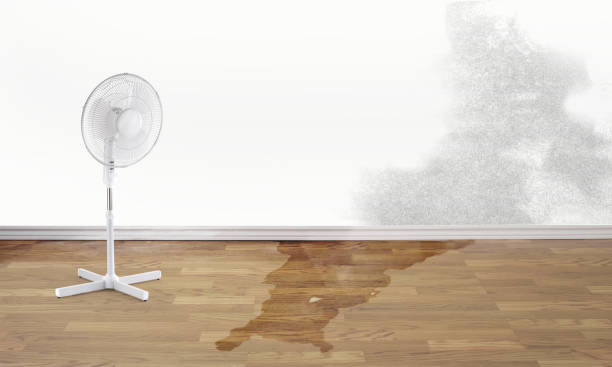 Local water damage restoration in Inwood, WV