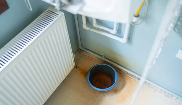 Best Local water damage restoration  in Inwood, WV