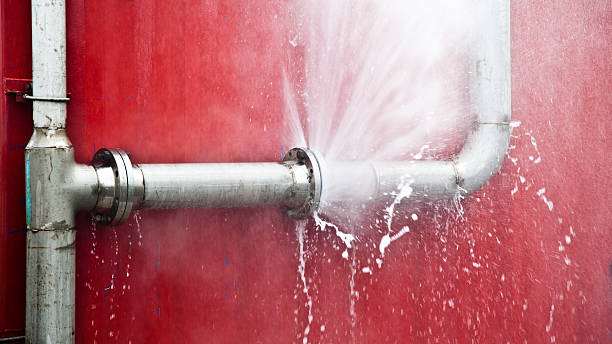 Best Mold removal after water damage  in Inwood, WV